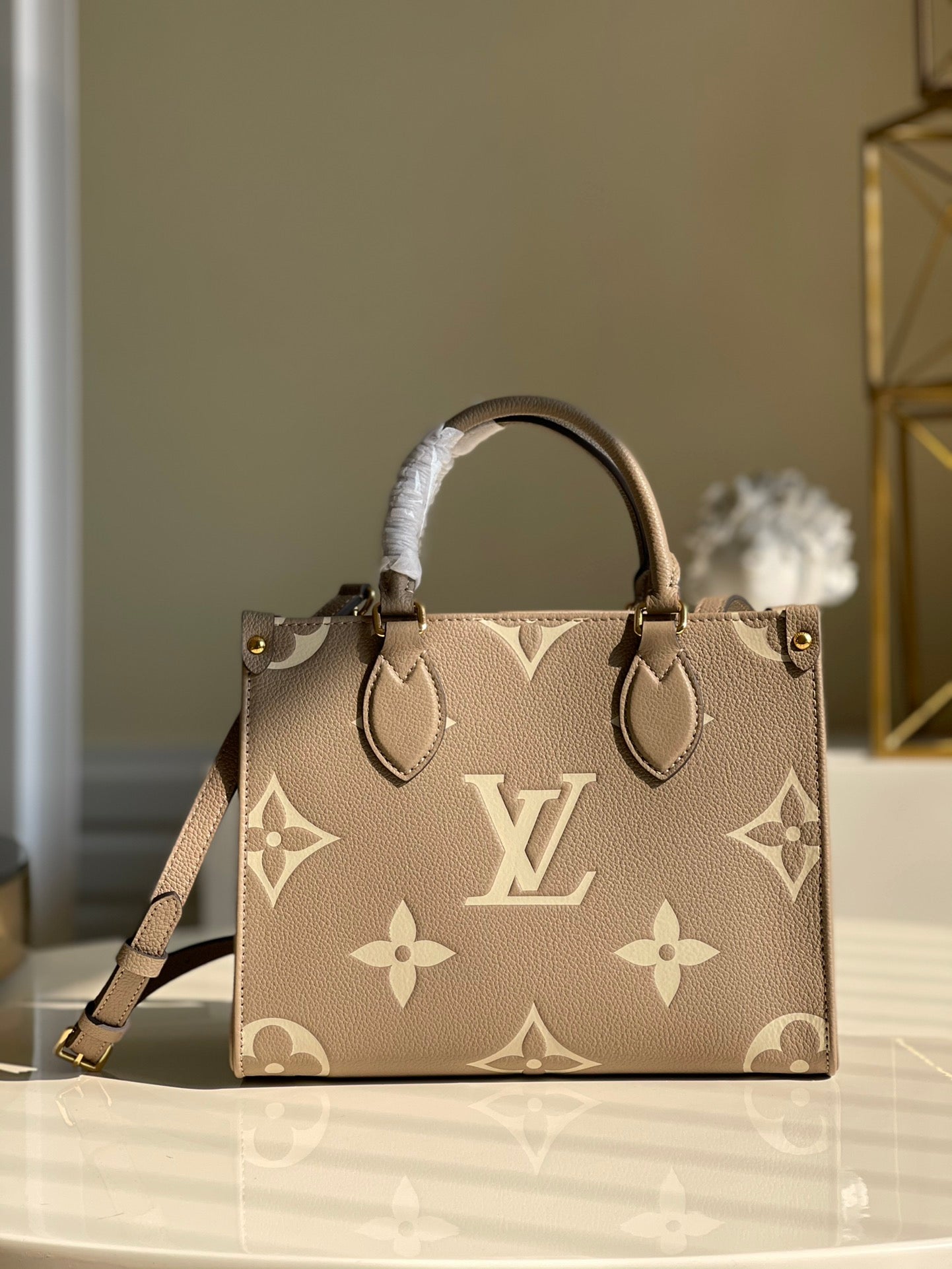 Louis Vuitton  OnTheGo PM Bag